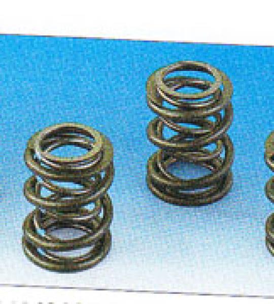 Set di 4 molle valvola Andrews con camme spinte per motori da 74 e 80 c.i