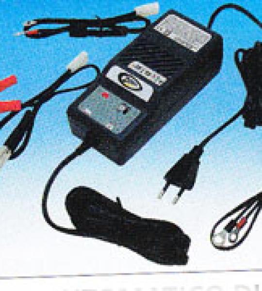 Sistema automatico carica batterie Zodiac Accumate