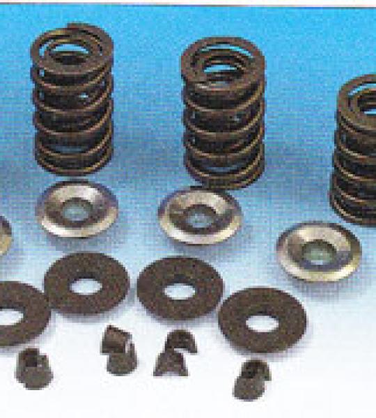 Set di molle valvole, collar al cromo molibdeno, alzata max 600 e semicono V-Thunder per Harley Big Twin 1984-1999 e Twin Cam dal 1999 ad oggi