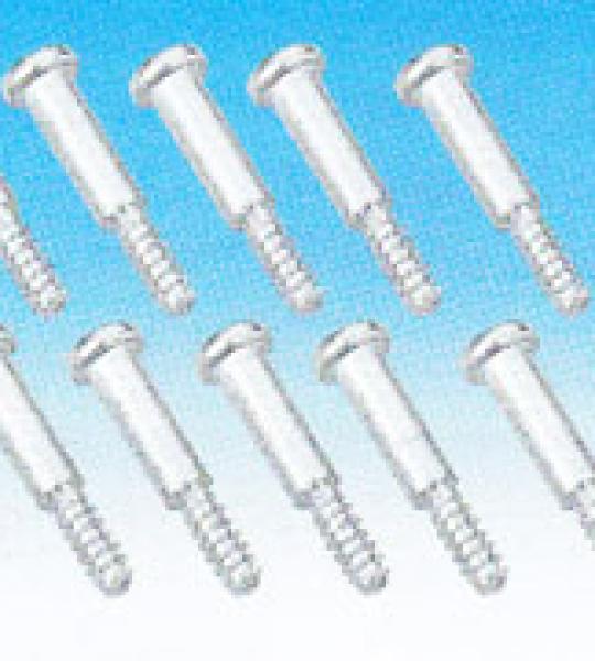 Kit 10 viti per lente fanale posteriore per tutti i modelli Harley dal 1973 ad oggi