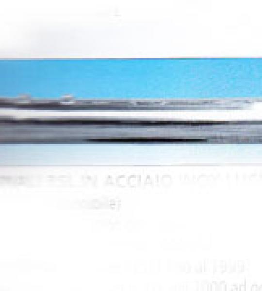 Kit terminali BSL in acciaio inox lucidato per Harley Davidson Softail Evolution FLSTF dal 2000 ad oggi