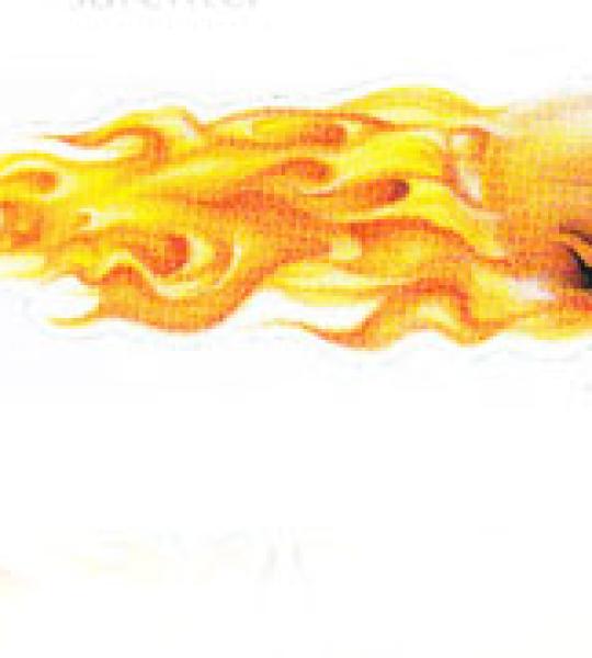 Kit decalco Flaming Skull dx-sx 4.1x1.4