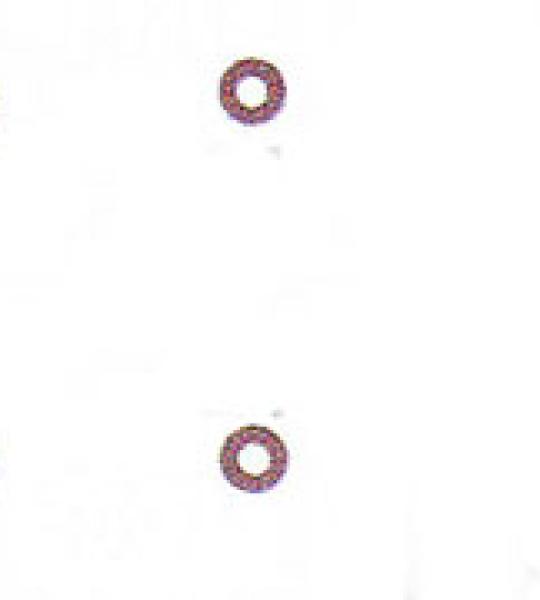 Set 8 guarnizioni viti coperchio bilanceri in rame James per Harley Big Twin Evolution 1984-1999