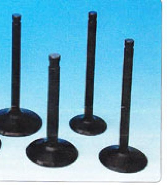 Valvola scarico per Harley Big Twin 1984-1999