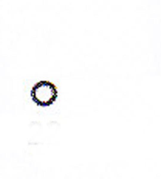 Kit 10 o-ring forchetta albero cambio James per Harley Big Twin fine 1979-1986