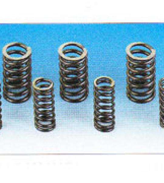 Set molle valvole in acciaio per Harley Big Twin Evolution 1984-1999, Twin Cam dal 1999 ad oggi