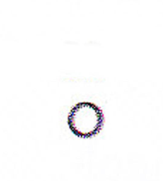 Kit 25 O-ring leva cambio James per Harley FLH, FLT, FXR, Softail e Dyna fine 1984 ad oggi