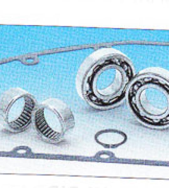 Kit montaggio ingranaggio conduttore include cuscinetti ad aghi basamento, 2 cuscinetti a sfera per camme, guarnizione e clip per Harley Twin Cam