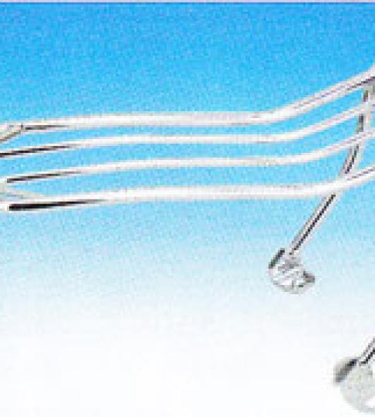 Portapacchi posteriore cromato per Harley Davidson FXST Softail dal 2000 al 2005 e FLST Softail dal 2006 ad oggi