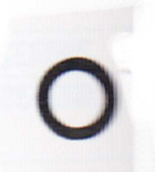 Paraolio albero a camme James per Harley Sportster Ironhead 1972-1985, Sportster Evolution e Buell dal 1986 ad oggiOil seal breaker points XL71-up #11124