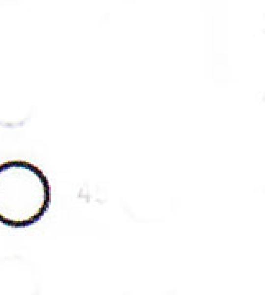 O-ring tubo asta inferiore James per Harley Sportster Ironhead 1979-1985