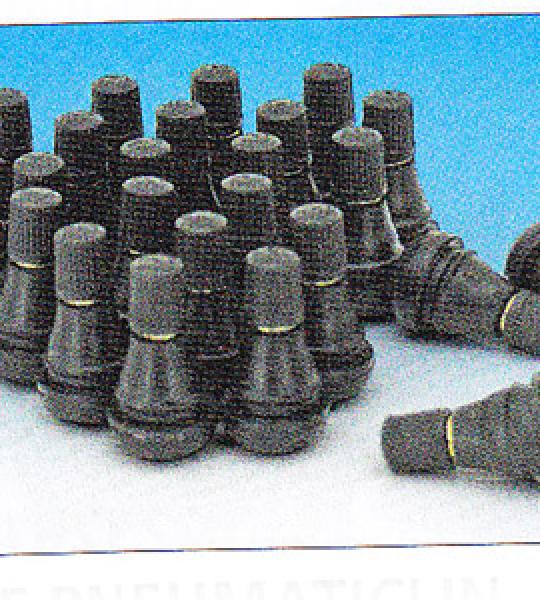 Kit 25 valvole pneumatici in gomma per tubeless
