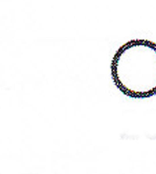 Kit 10 O-ring interruttore folle Athena per Harley Big Twin 5 marce fine 1999-2006