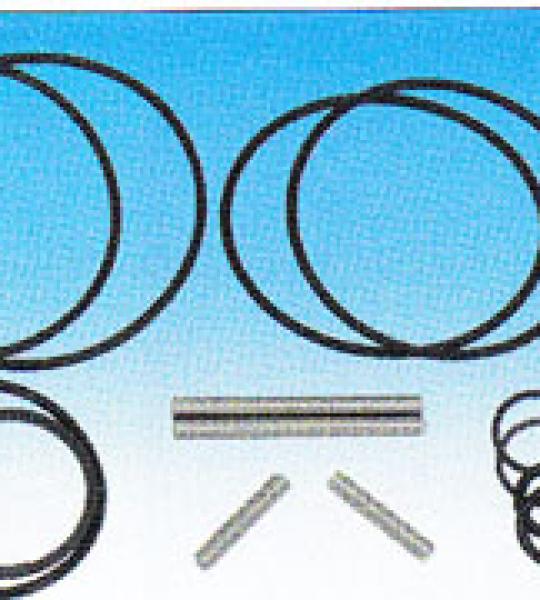 Kit ricostruzio per Harley Sportster con pompe tipo Pro-Flow, comprende clip, chiavelle, spinotti ed o-rings per riassemblare la pompa olio