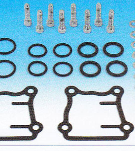 Kit viti e guarnizioni punterie per Harley Twin Cam dal 1999 ad oggi