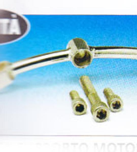 Staffa supporto motore superiore per motori stile Evolution Big Twin