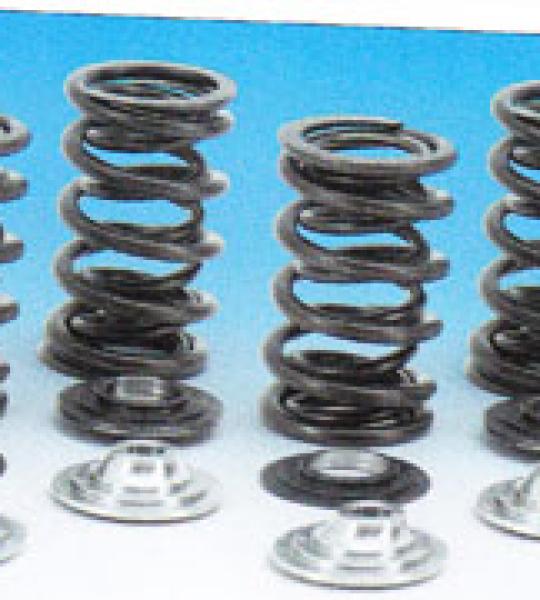 Kit molle valvole con collari in titanio per Hraley Twin Cam dal 2005 ad oggi