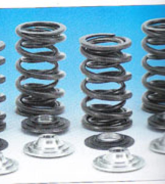 Kit completo per molle valvola per alzata maggiorata e collari in titanio per Harley Twin Cam 1999-2004