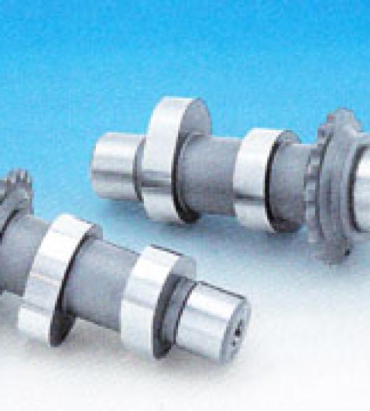 Kit di convrsione Roller Chain formato da pompa olio, piastra supporto camme, catena, tensionatori, pignini e istruzioni per il montaggio per Harley  FXD 2002-2005, FLH/FLT 2002-2006, Softail 2002-2006