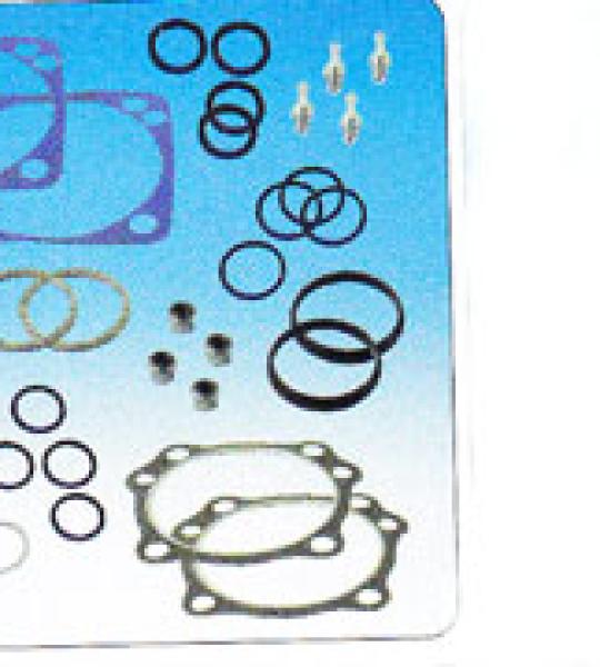 Kit completo guarnizioni motore per motori S&S serie P e SH da 3 5/8